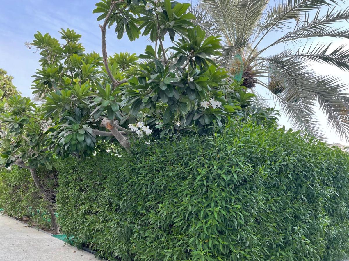 Al Corniche Hotel Sharjah Bagian luar foto